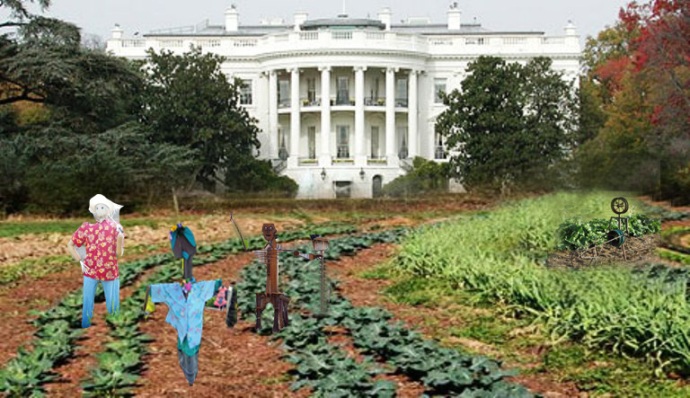 The gang planting up the White House lawn.